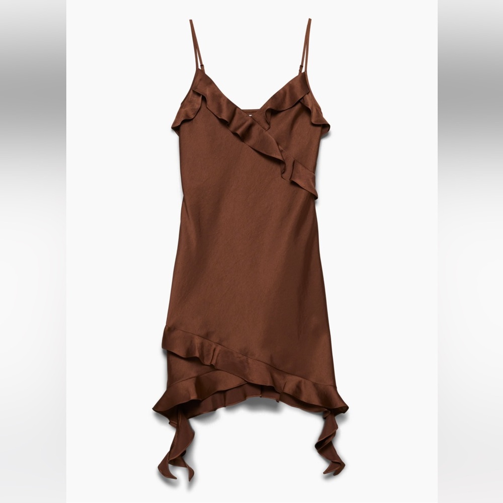 Never worn Botanical Satin Dress from ARITZIA